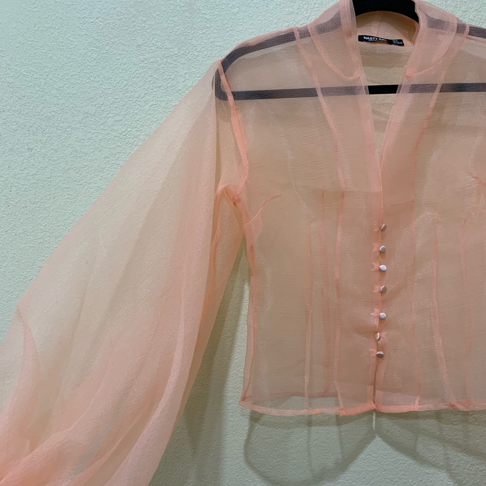 Nasty Gal Organza Top